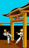Narsil KARATEKA – obrázek 2