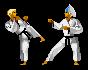 Narsil KARATEKA – obrázek 3