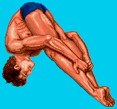 Narsil OLYMPIAD – obrázek 5
