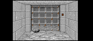 Narsil CHAOS1 – obrázek 3
