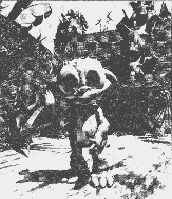 Narsil NORNI – obrázek 1