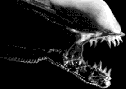 Narsil ALIEN_BL – obrázek 4