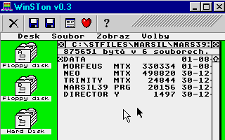 Narsil WINSTON – obrázek 1